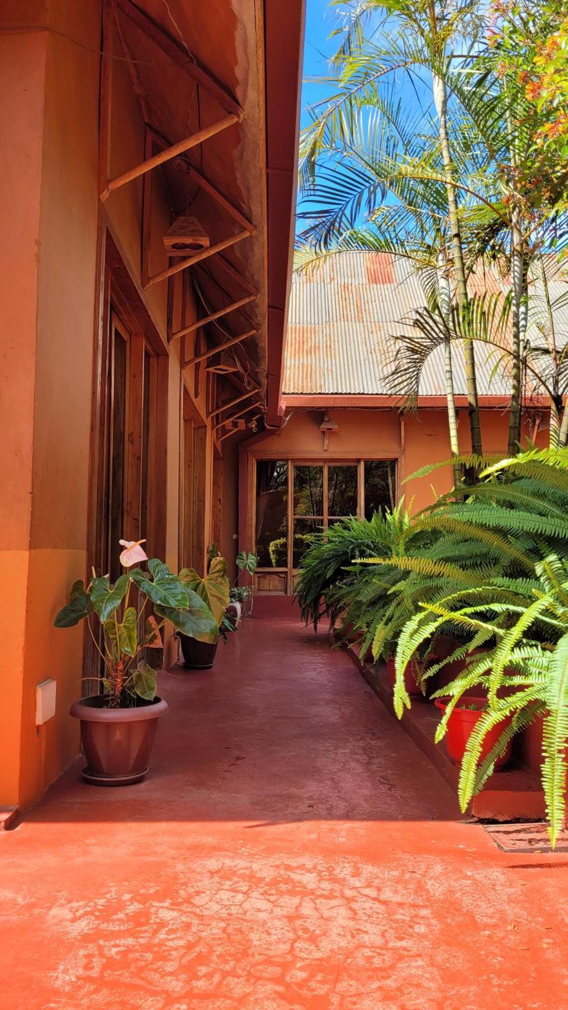 Babylon Lodge Marangu Extérieur photo